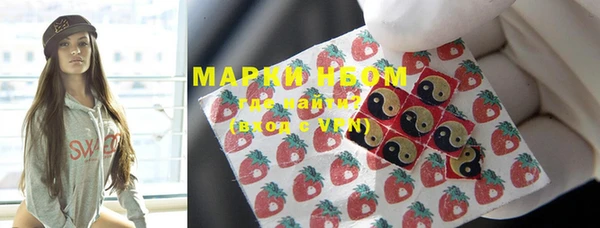 молекула духа Новозыбков