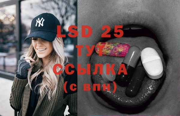 молекула духа Новозыбков