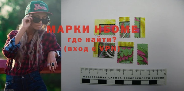 молекула духа Новозыбков
