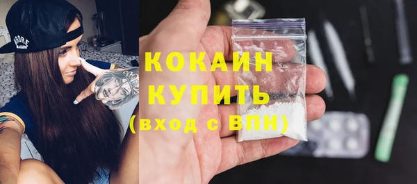 молекула духа Новозыбков