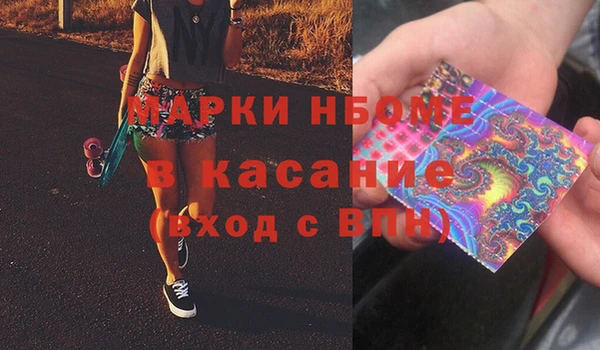 молекула духа Новозыбков