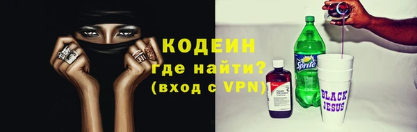 молекула духа Новозыбков
