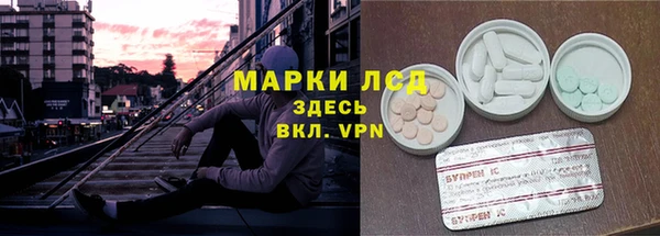 PSILOCYBIN Новодвинск